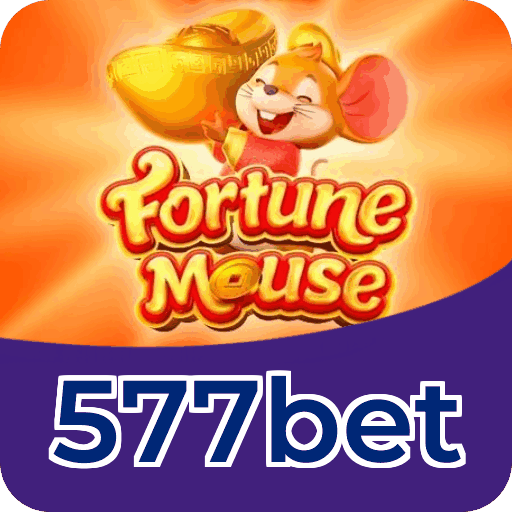 Comparação APP mobile vs versão web da 577bet